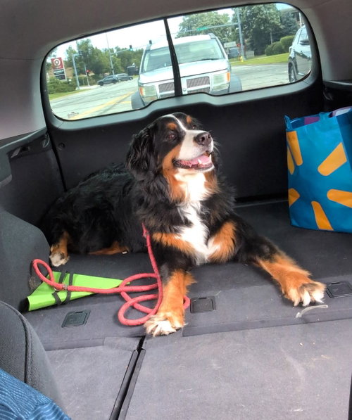 Winnie