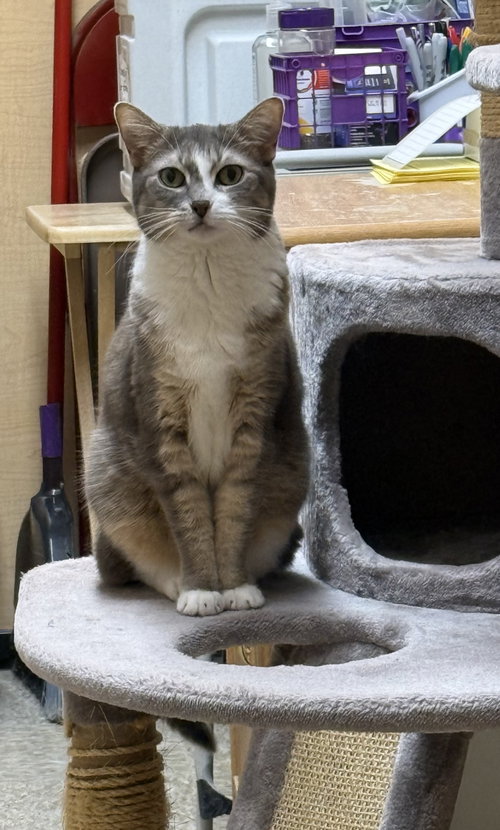 Photo 2 of Rocket