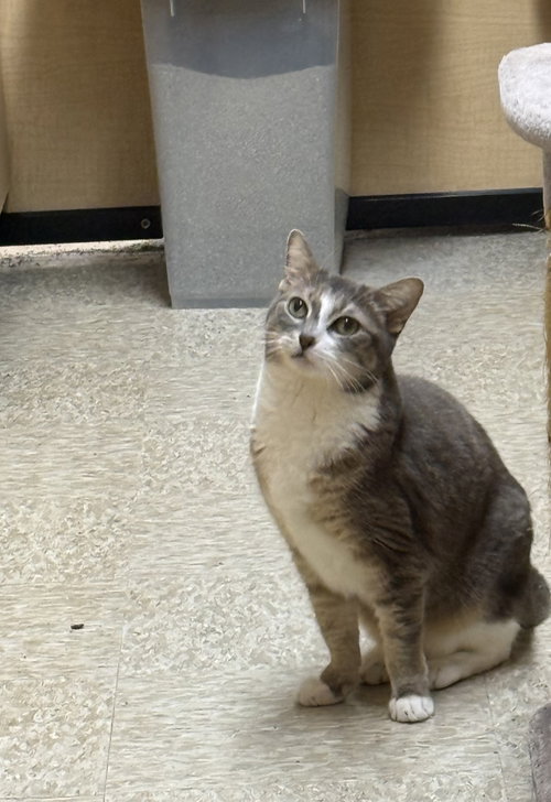 Photo 3 of Rocket