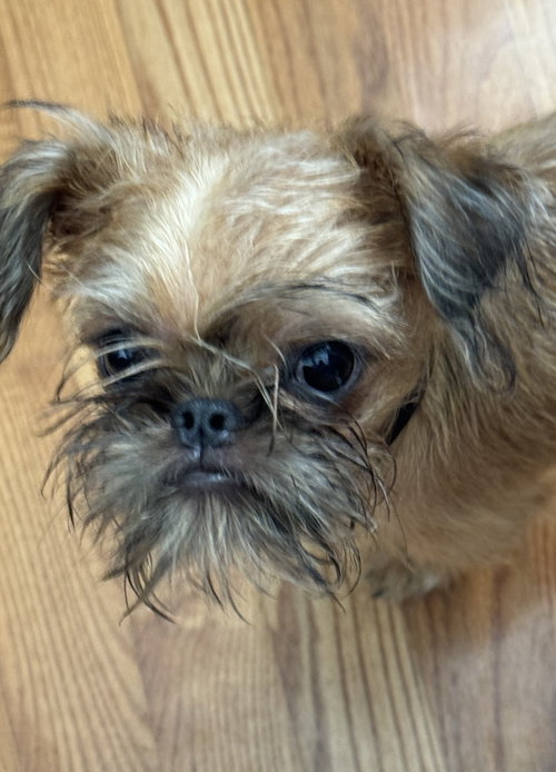 Gus