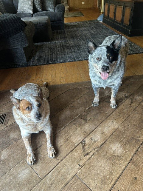 Waylon And Cash photo 3