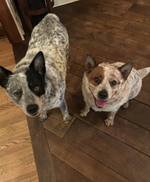 Waylon And Cash photo 2