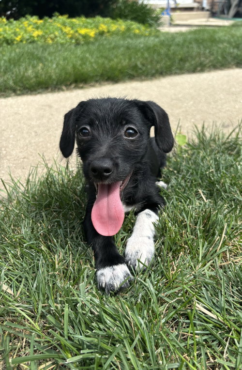 Luna