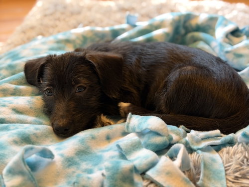 Fiona photo 2