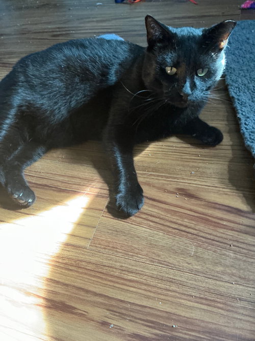 Photo 3 of Wally