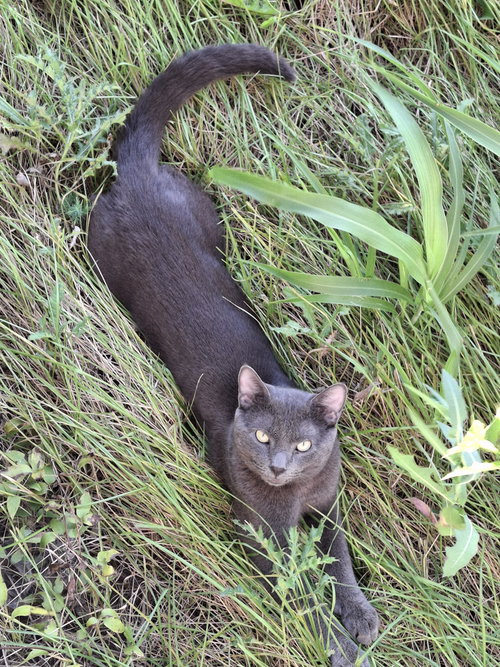 Photo 3 of Sebastian