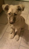 Taffy