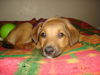 Fiona