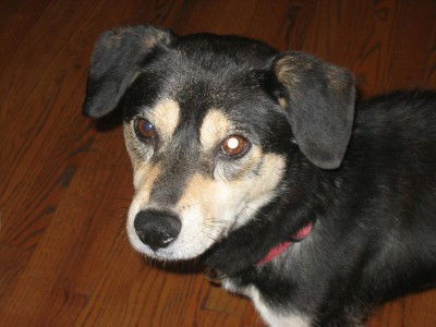 Nell 