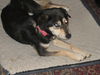Nell 