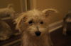 Hansel