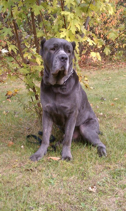 Capone
