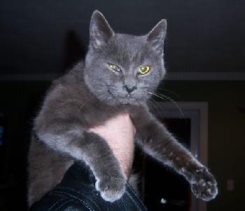 Nina