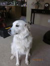 Jack aka Jordy