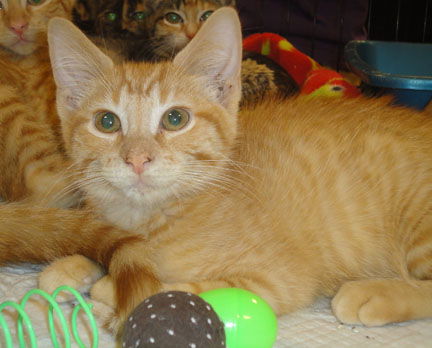 Nicky