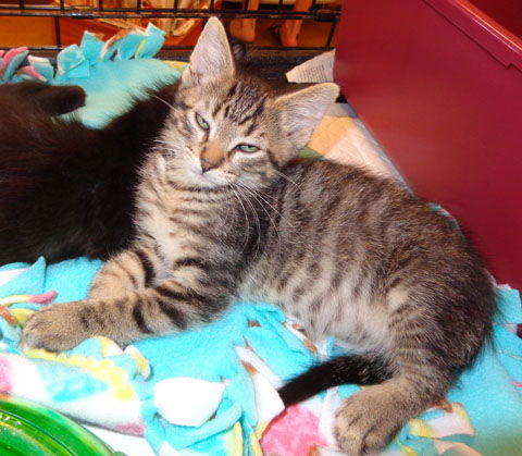 Zeke - sister Zelda