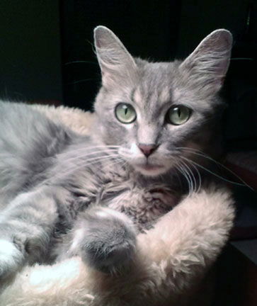 Felicity