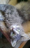 Felicity