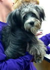 Itsy