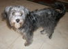 Itsy