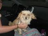 Bailey