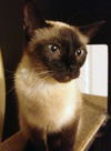 Jackie