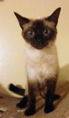 Jackie