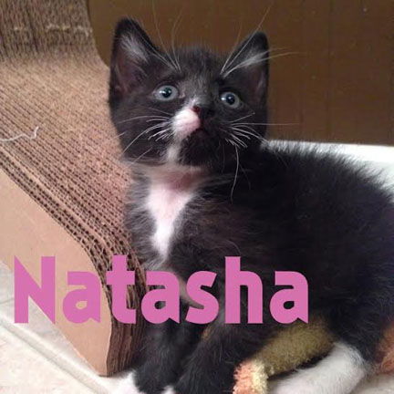 Natasha