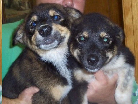 Harlie and Hannah