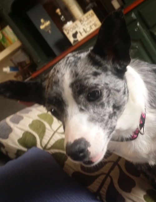 Fiona