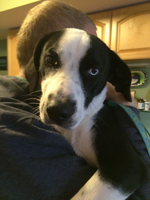 Fiona