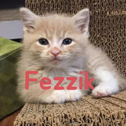 Fezzik
