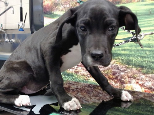 SALLY