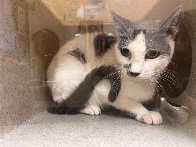Unknown