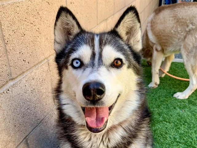 Luna