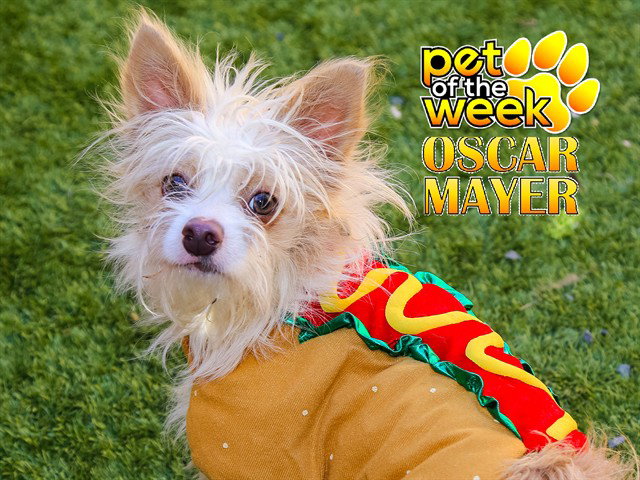 OSCAR MAYER