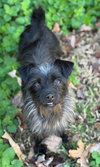 Andi - Photo 3
