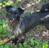 Andi - Photo 4