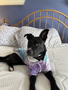 Lexley - Photo 3