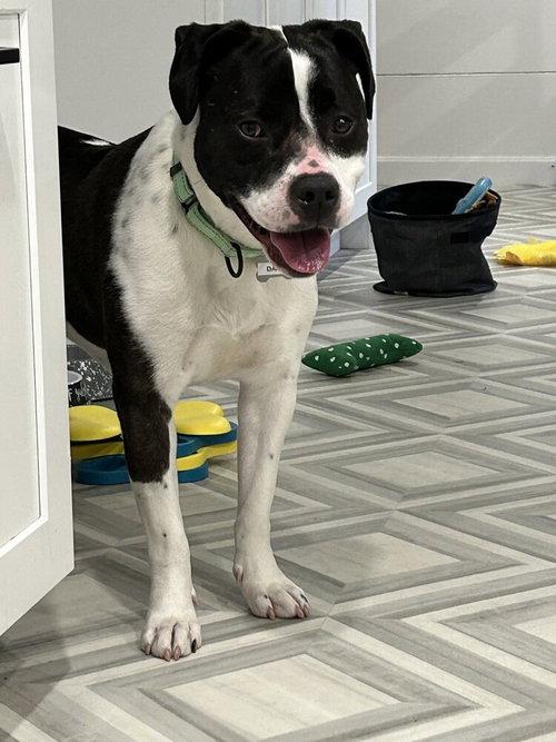 Daisy June photo 4