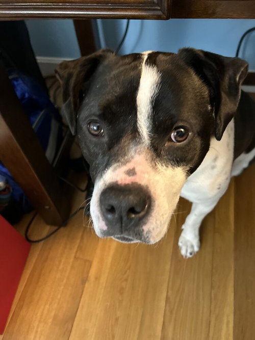 Daisy June photo 1
