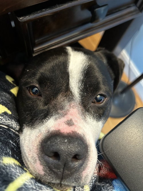 Daisy June photo 2