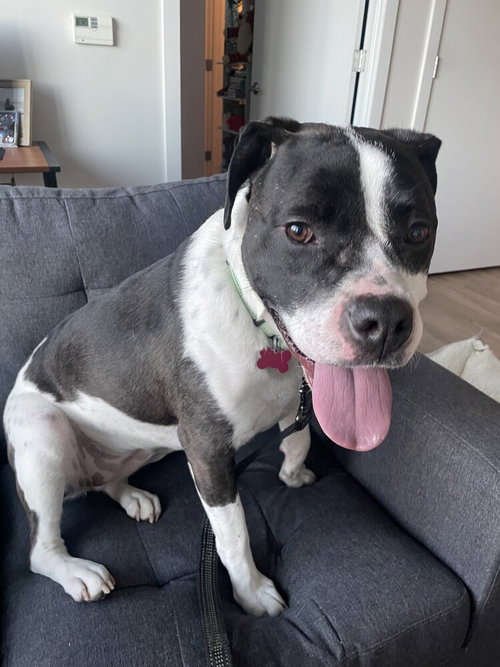 Daisy June photo 3