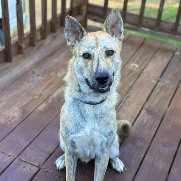 Hugo