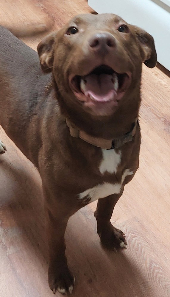 Charisma