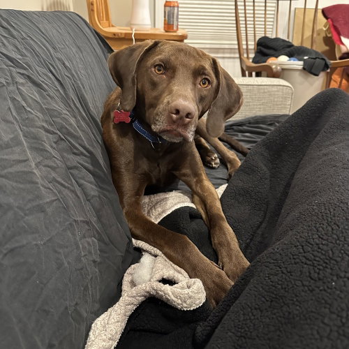 Buddy photo 3