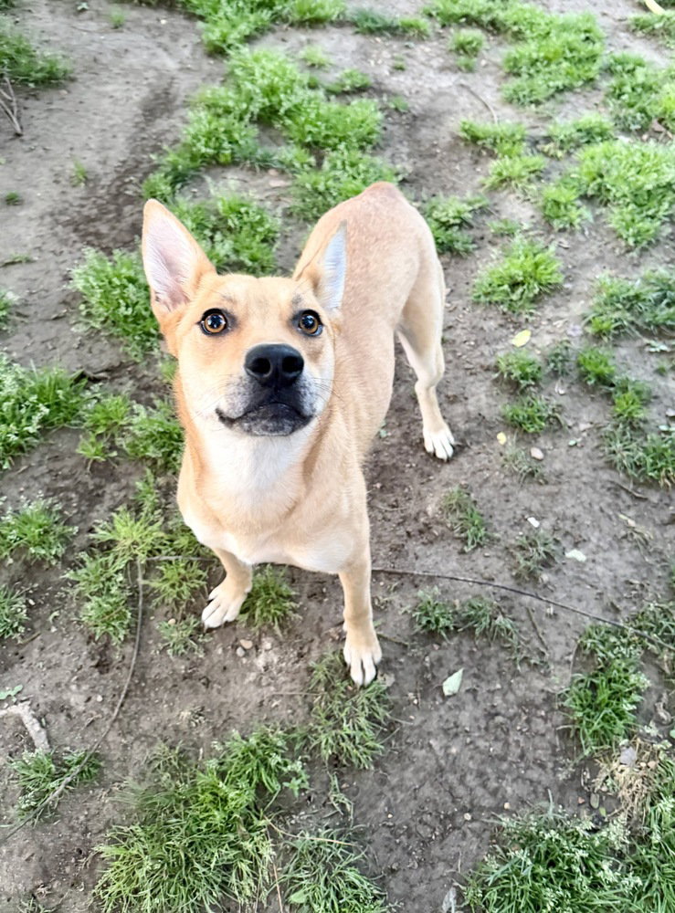 Cindy