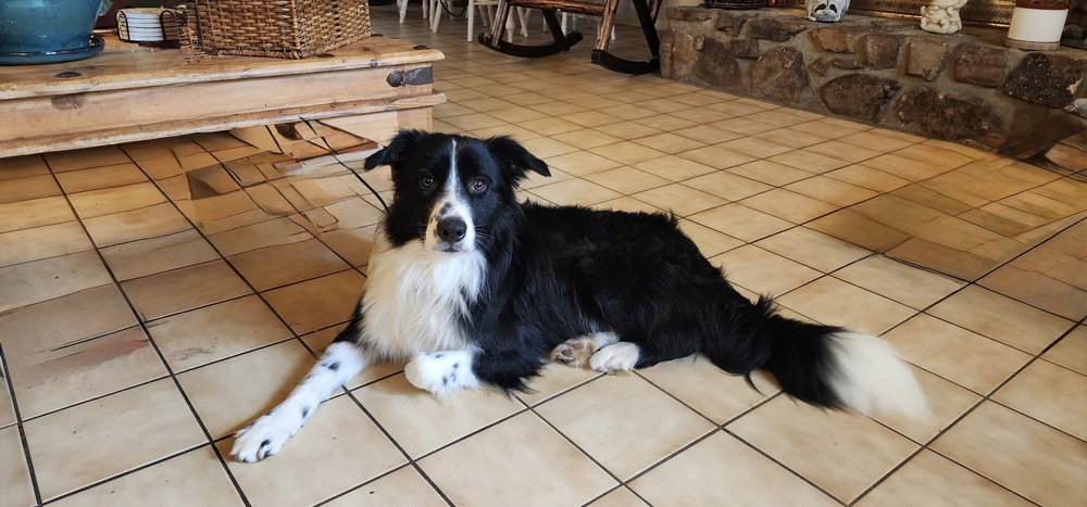 Portland Image