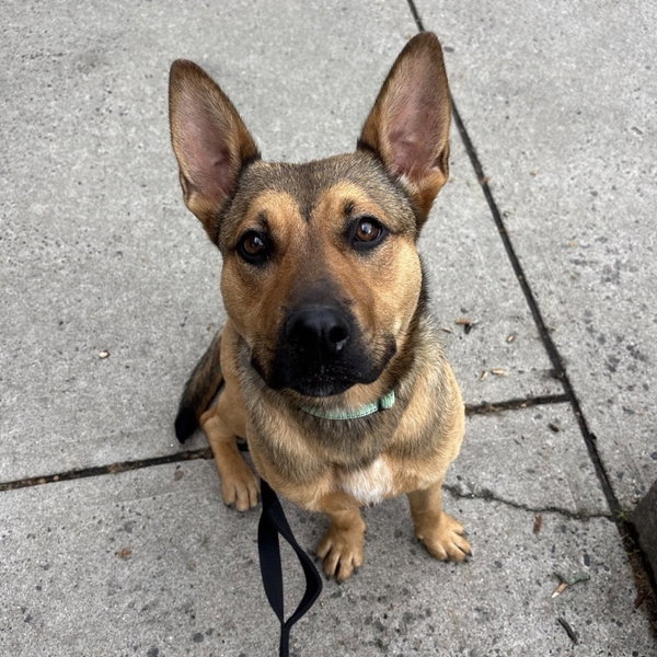 Skye