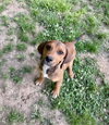 Wilson - Photo 1